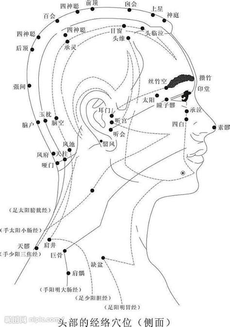 上明穴|上明穴－头部穴位图解